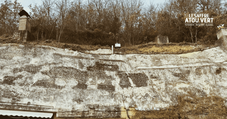 Nettoyage de coteau à Tours (37)
