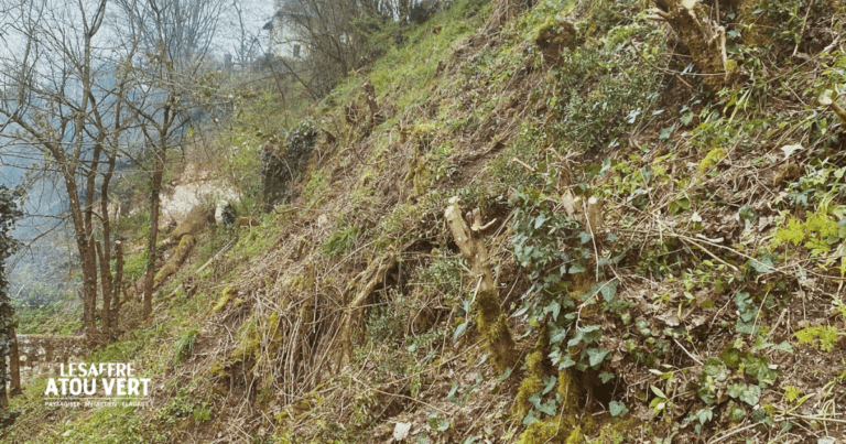 Nettoyage de coteaux à Tours (37)